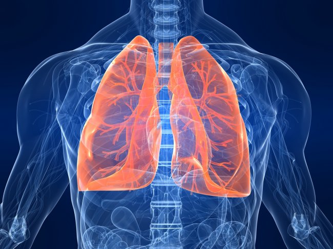 Respiratory App