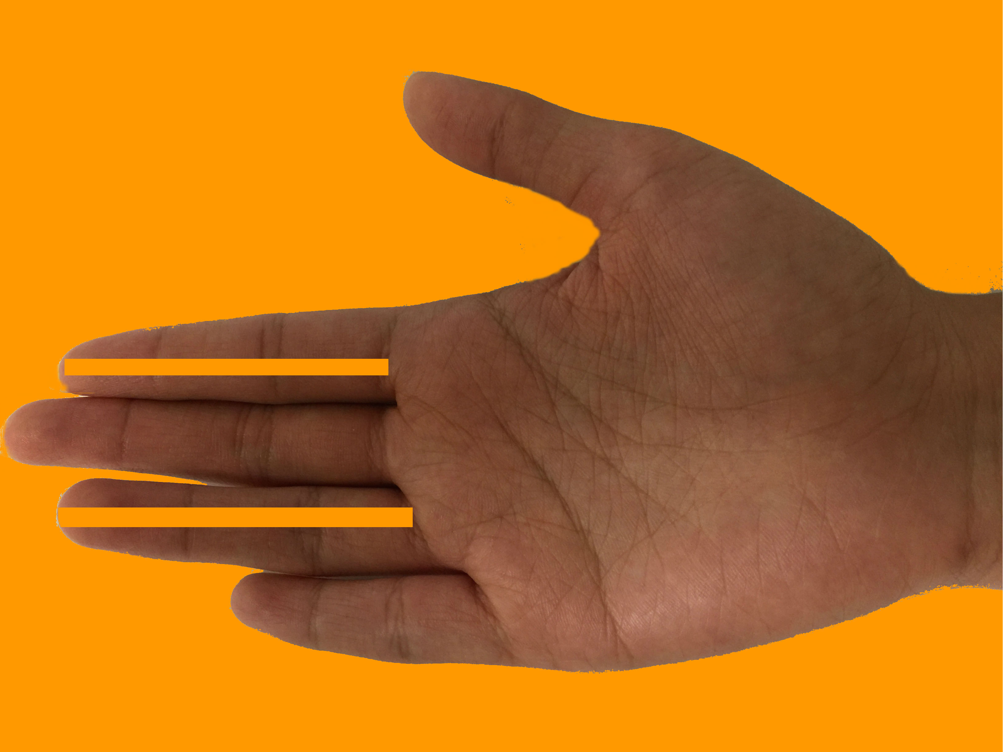 Digit Ratio