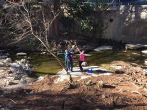 blog-17