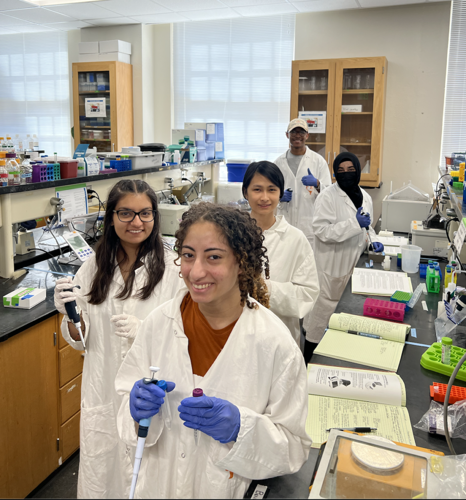 Researchers experimenting in lab