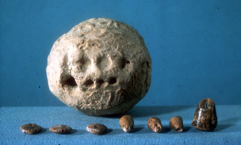 (Fig. 3) Envelope from Susa, Iran, ca. 3300 BC, The lenticular disks each stand for "a flock"  (–10 animals?) . The large cone is a very large measure of grain, the small cones are small measures of grain. Courtesy Musee du Louvre, Department des Antiquites Orientales.