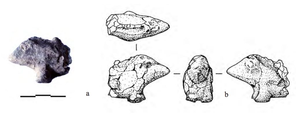 Photo of a wild boar figure with 4 drawings from different angles.