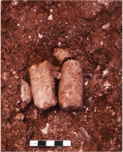 Two stabbed animals lay side by side in a tiny pit covered by a limestone slab beneath a floor in the corner of a room.