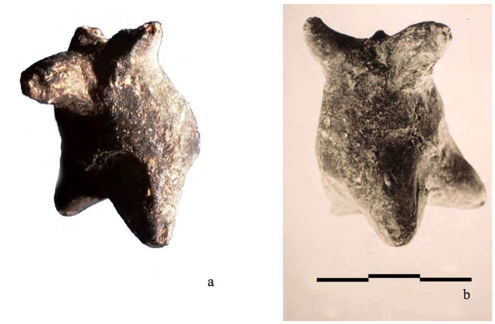 Two animals intentionally truncated when the clay was still moist