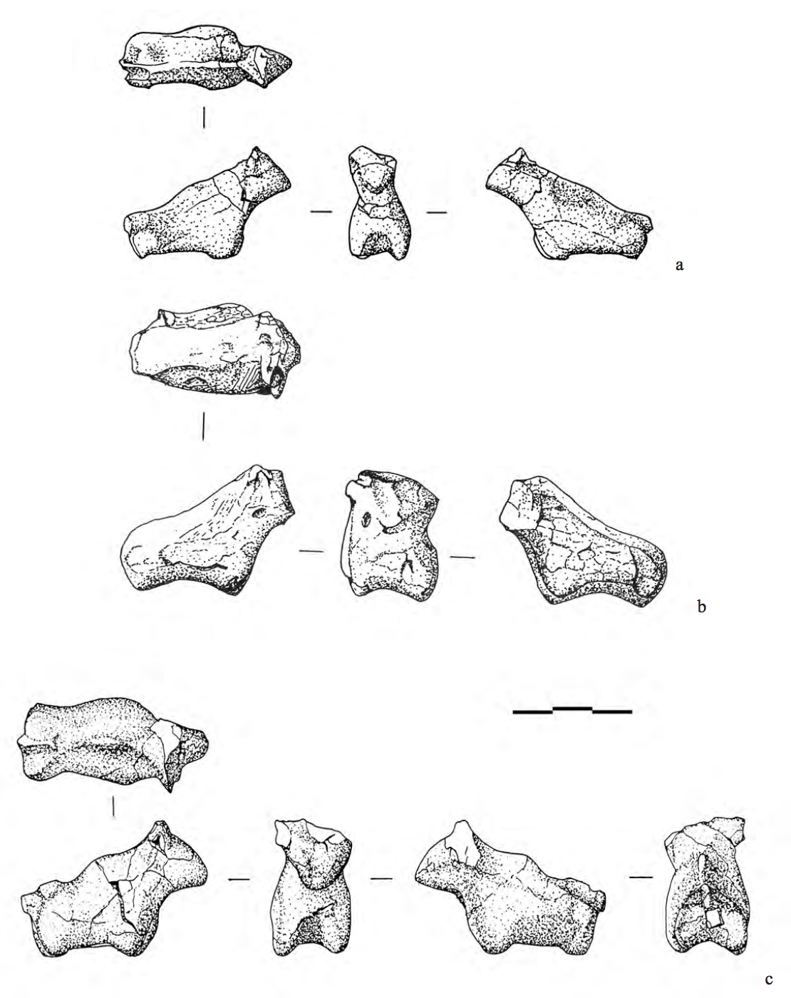 More bull figurine drawings in different profiles.