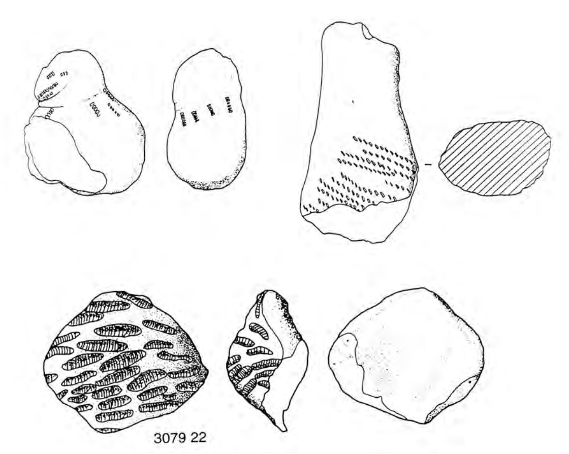 drawings of purposefully hand modeled fragments from different angles.