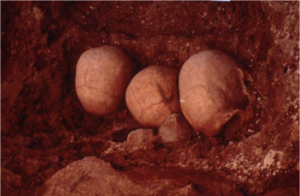 the tops of three skulls at excavation site.