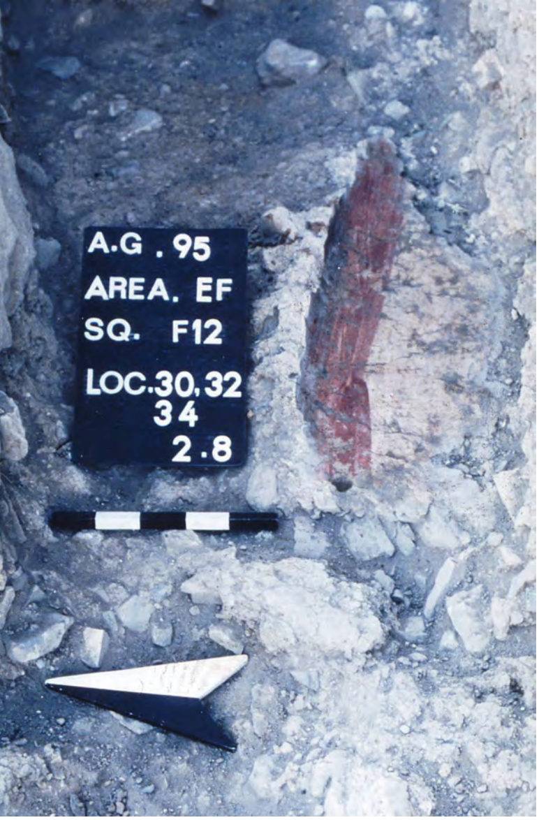 Photograph of archaeological excavation showing a mere broad red band of 15-20 cm traced along the curved wall of the apse.