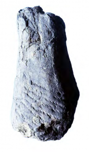 Fragment showing a small string, about 1 mm thick, was wrapped diagonally around twelve times.