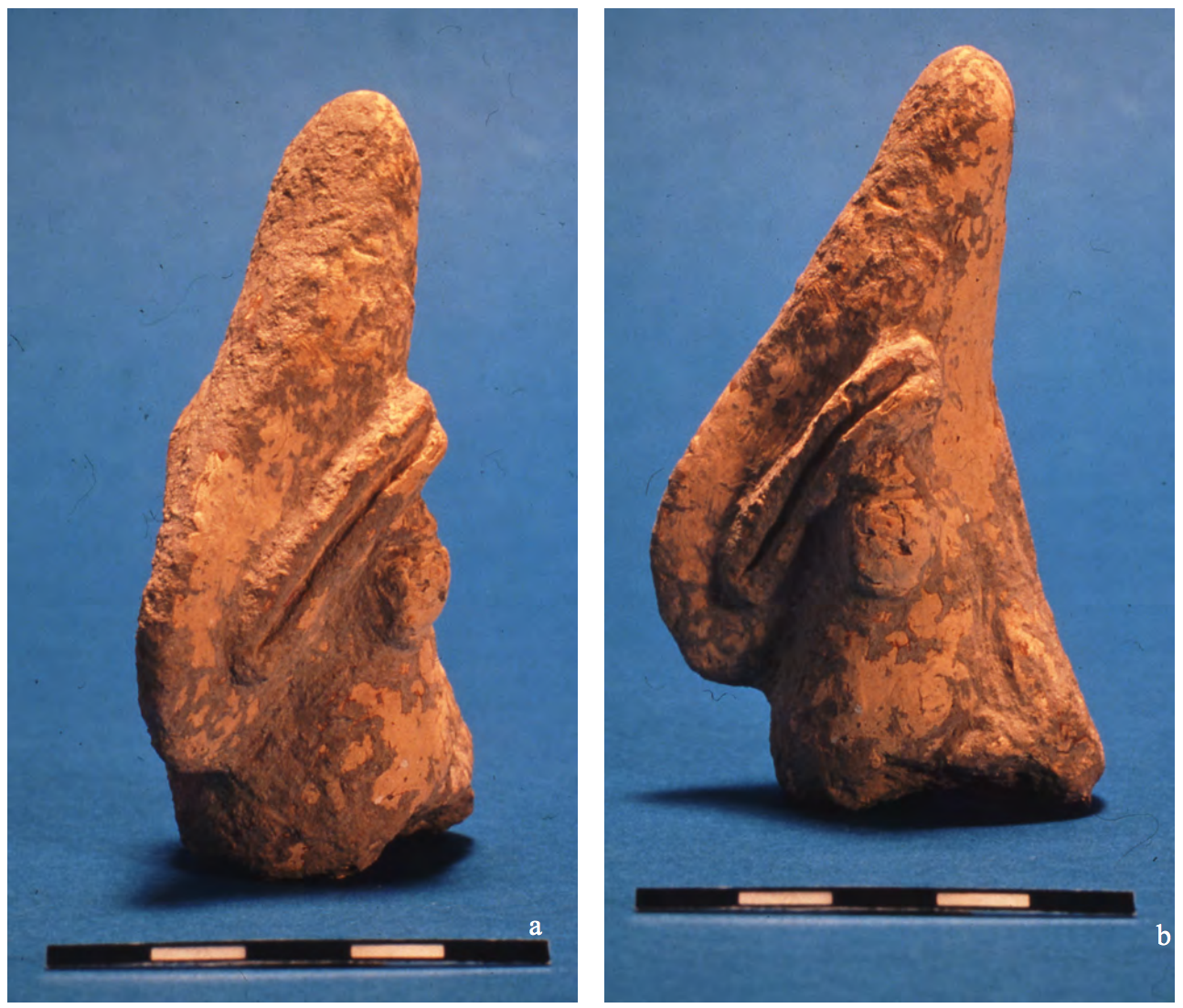 The body of such figurines is clearly human but the head is not.