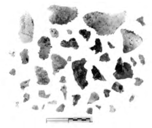 drawing of skull fragments