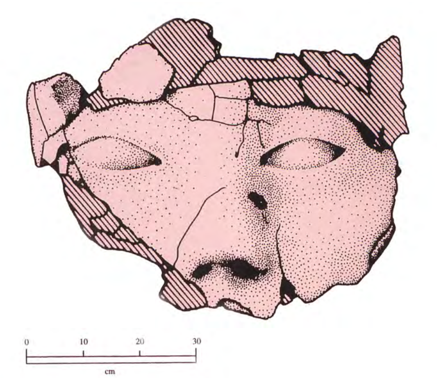 drawing of the plaster modeled in the form of a remarkably naturalistic face