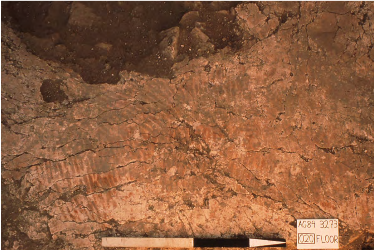 Photograph of the archaeological excavation.