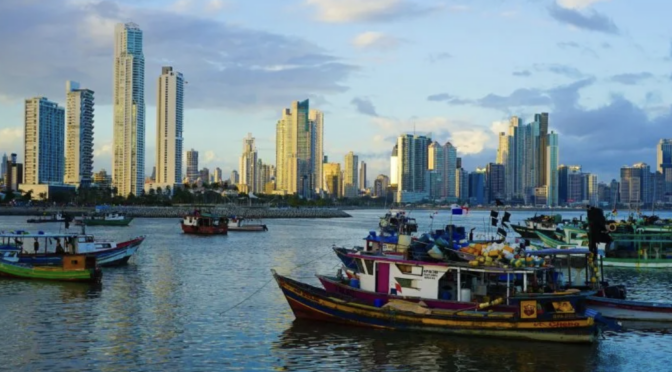 Embedded Scholars Program Names 2023 Fellows