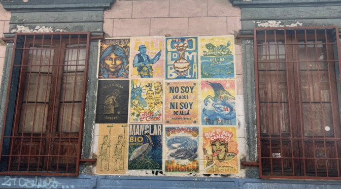 Mapping Sense of Belonging and Birthright Citizenship Laws: My Experience Researching Migration and Nationality in the Americas 