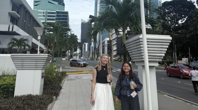 Improving Democratic Resilience in Central America