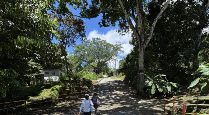 From Canvassing to Designing My Own Climate Migration Survey