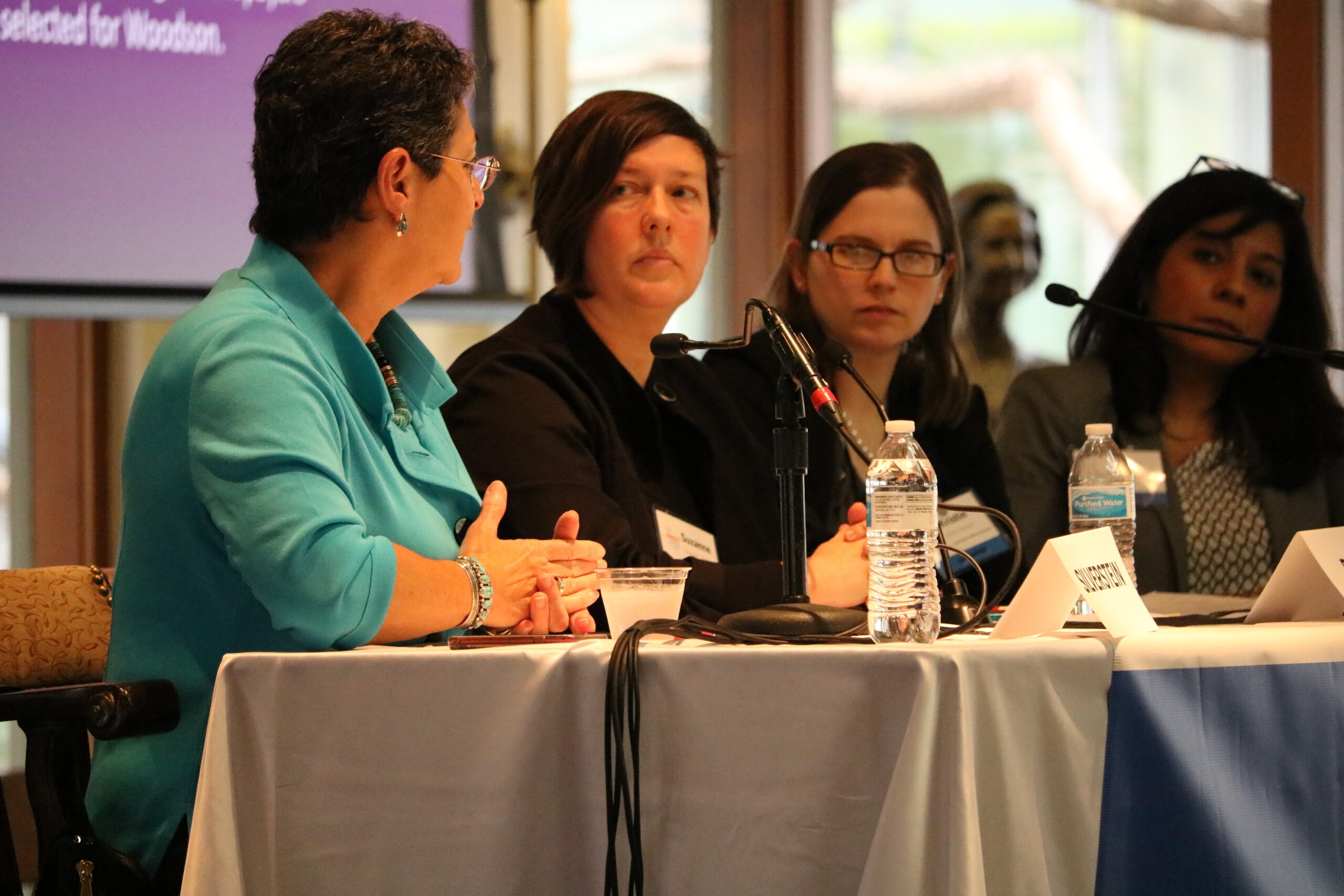 Women speaking on a panel together