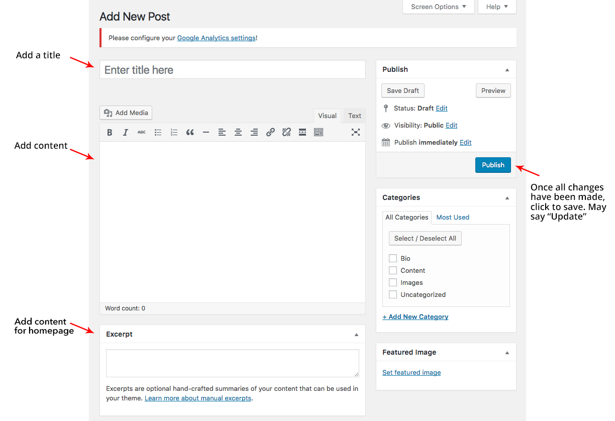 view of new post in wordpress