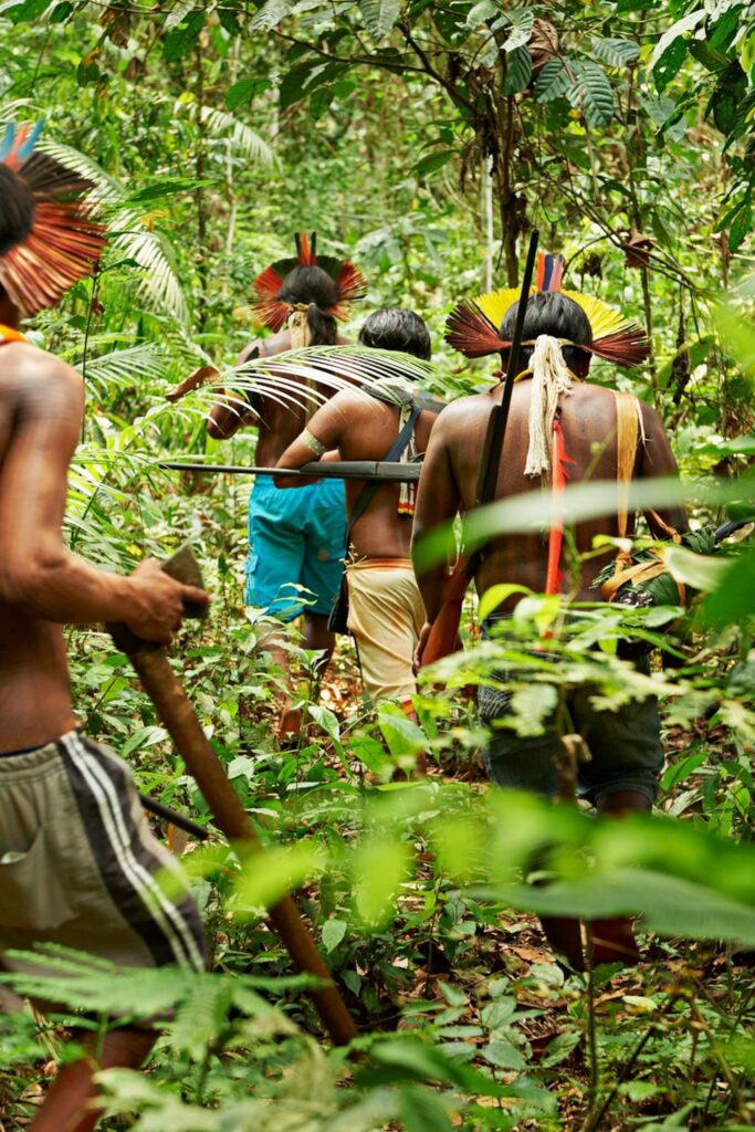 Deforestation In The Brazilian Amazon The Role Of Carbon Markets Deforestation In The Brazilian Amazon The Role Of Carbon Markets
