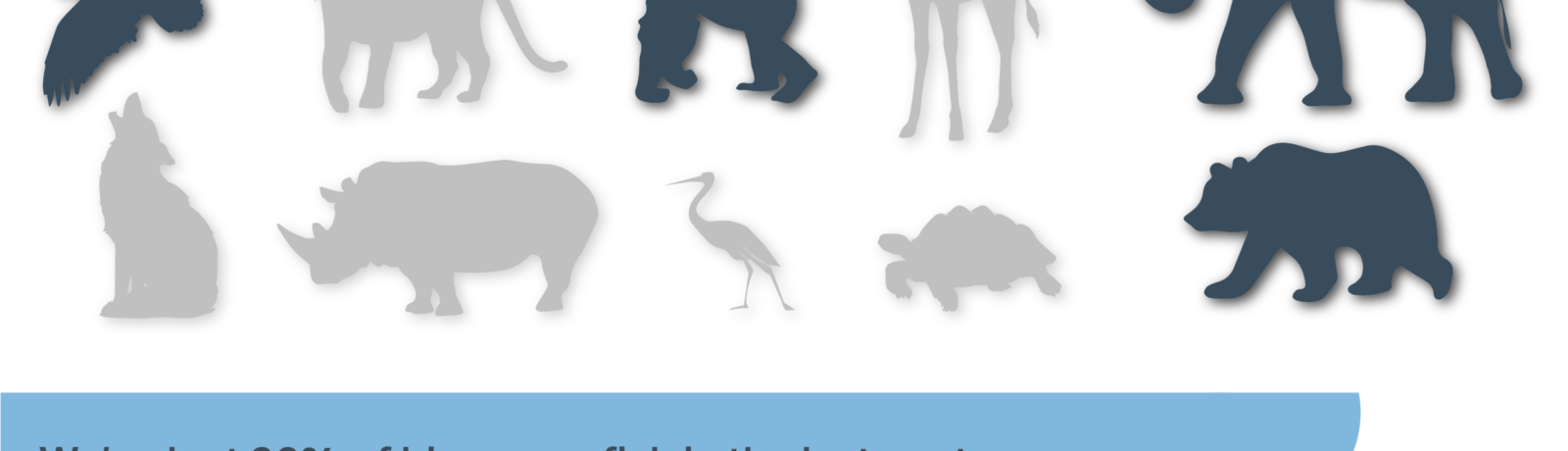 30 x 30: Protecting 30% of our land and ocean by 2030