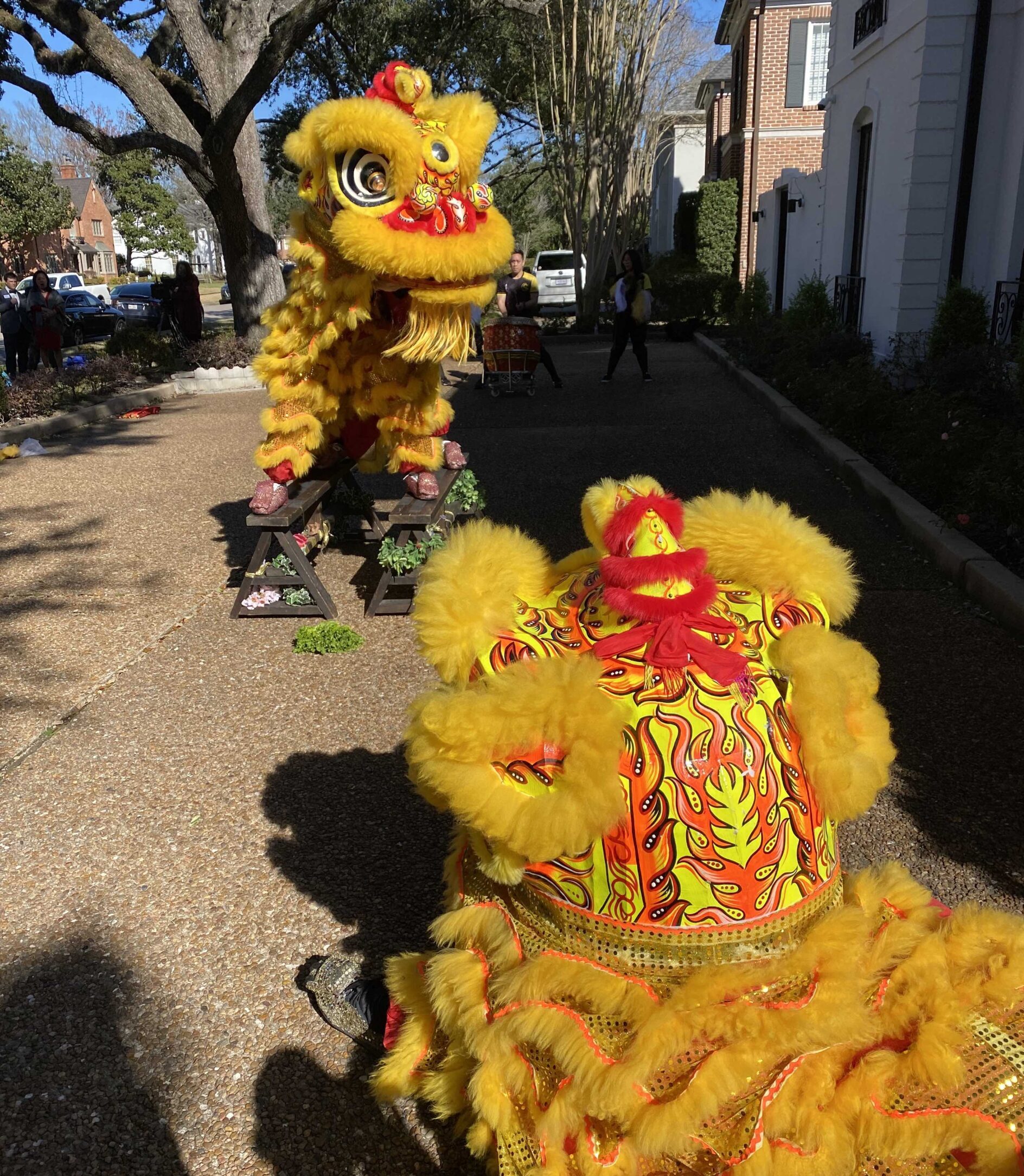 Chen Liang. "The Dragon Dance was performed on a fundraising event in the Vietnamese community for one of the only two Vietnamese American political candidates in Houston."