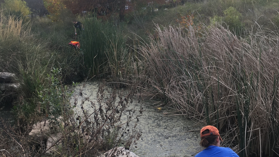 Hans, Lisa, and Becca cleaning up a section of our adopted creek.