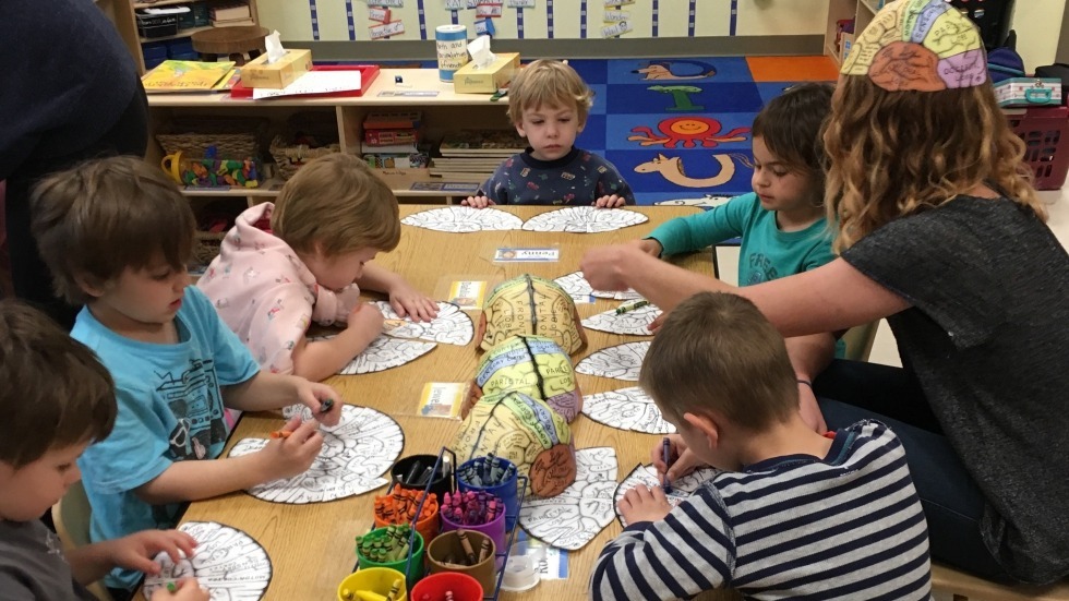 Caitlin helps students color different regions of the brain