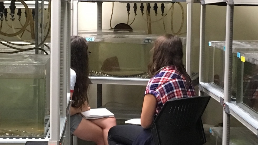 Middle school students visit the fish room as part of Shadow a Scientist