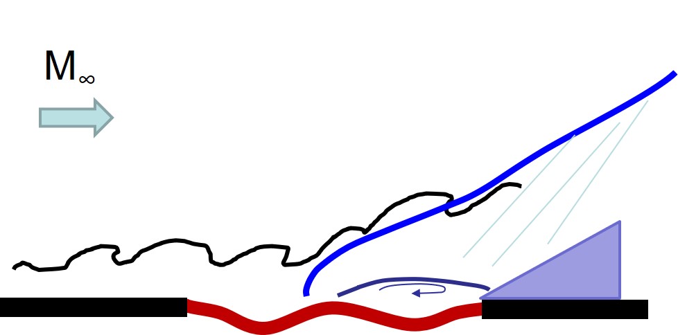 Flow-structure interaction: Compliant panel under a compression ramp shock / boundary layer interaction