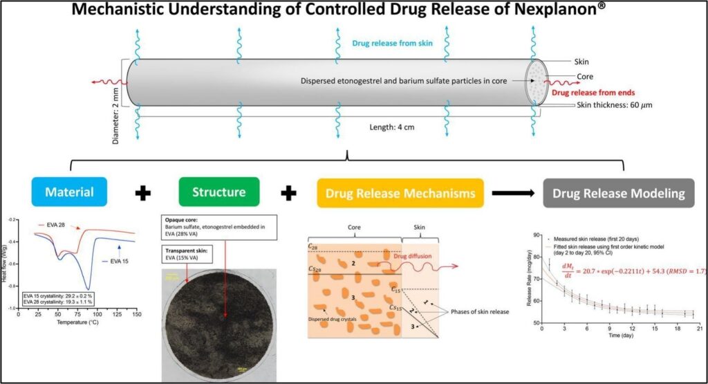Graphical Abstract from "Zhong ZY, Ren A, Doluisio N, Smith W, Qin B, Wang Y, Zhang F*, Correlation between material, structure, and drug release of Nexplanon®: an ethylene vinyl acetate based long-acting implant, International Journal of Pharmaceutics 682:125971 (2025)"