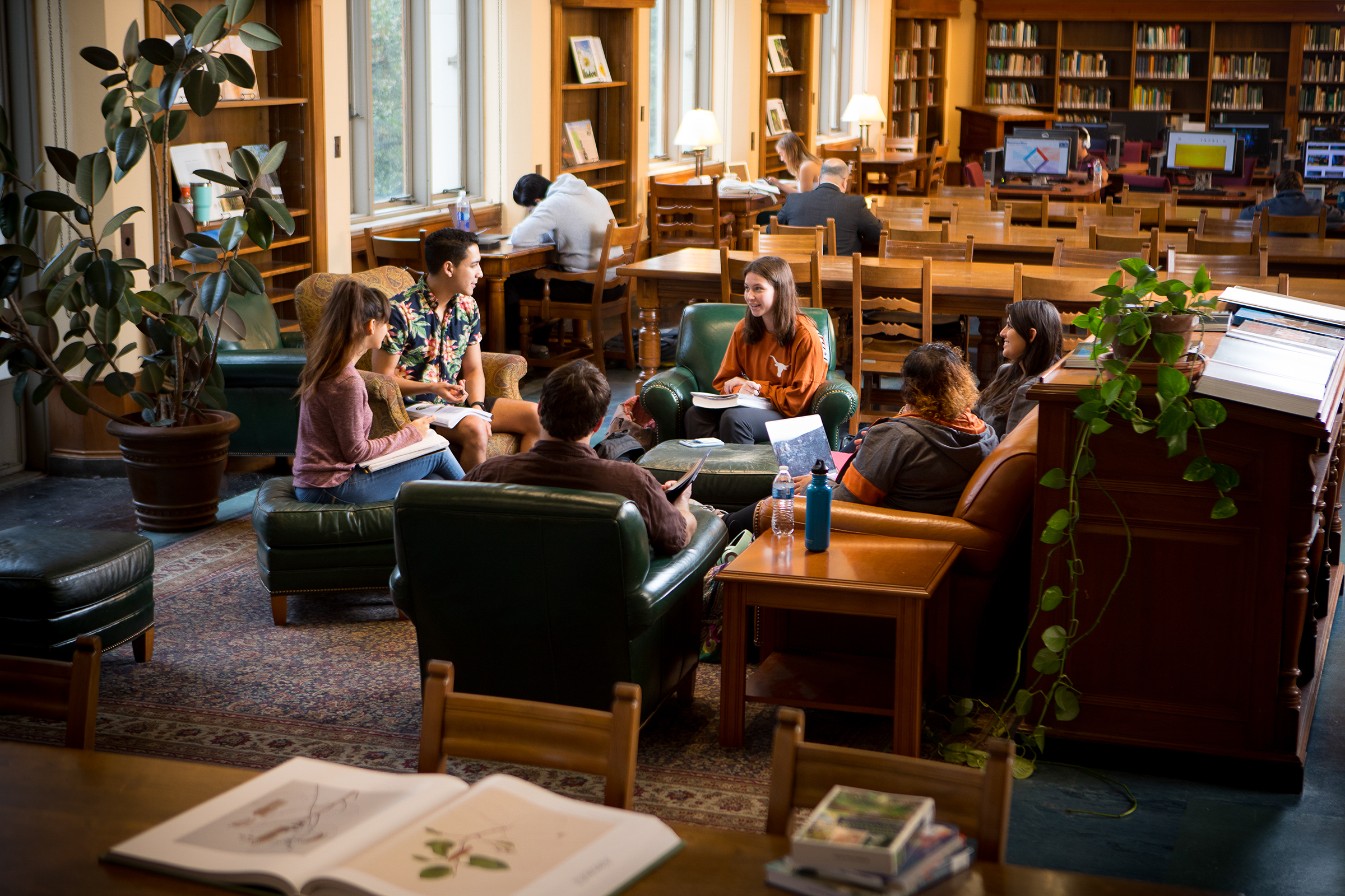 Several students sit in a cozy library setting, engaged in a group discussion. They are surrounded by bookshelves, plants, and green armchairs, creating a comfortable academic environment.