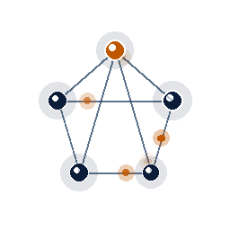 Network Optimization