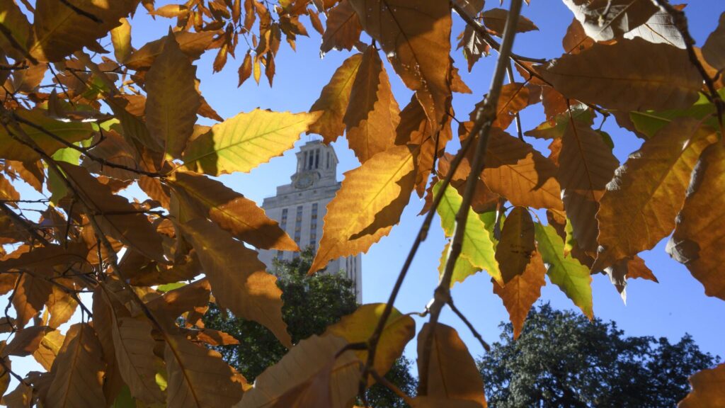 University of Texas Tower with autumn leaves partially covering it. Text: "The Health Behavior Research and Training Institute develops, tests, and implements behavioral interventions."