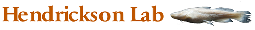 Hendrickson Lab