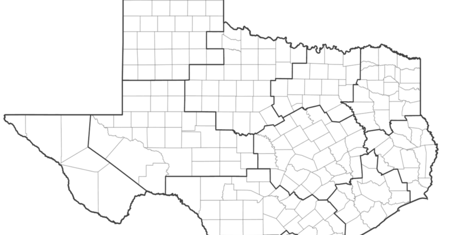 Texas Sexual Assault Survivors’ Study: Services, Gaps, and Accessibility