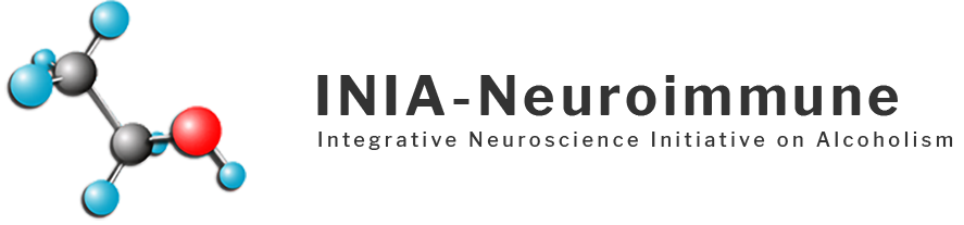 Integrative Neuroscience Initiative on Alcoholism