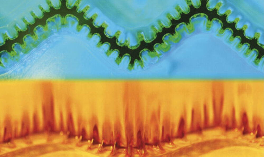 Mechanics of Smart and Tough Gels