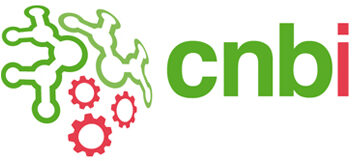CNBI Lab
