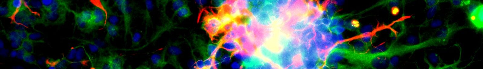 Welcome Featured Image