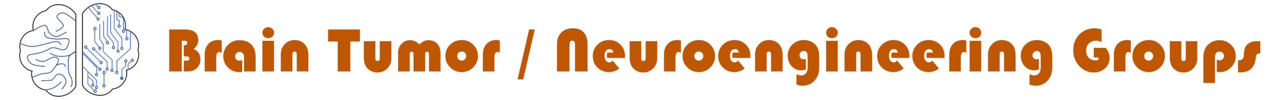 Brain Tumor / Neuroengineering Groups