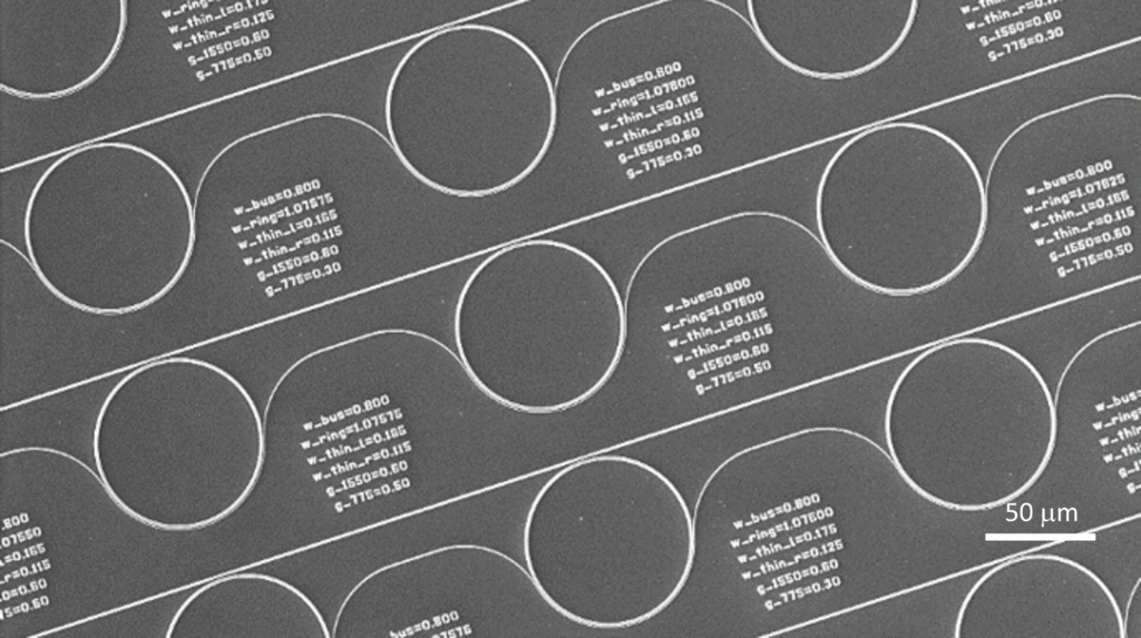 Integrated Photonic Ring Array