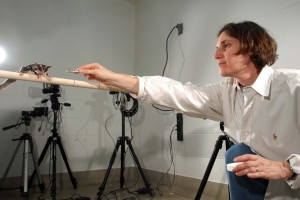 Shapiro, Liza 2008 in lab with sugar gliders