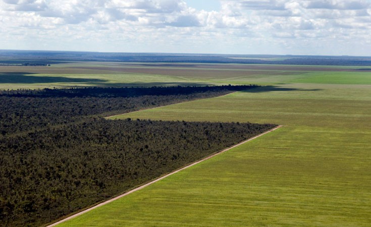 Contrast between a remnant of Cerrado vegetation and an area deforested for soybean production in central-western Brazil. Photo © Adriano Gambarini / WWF-Brasil 