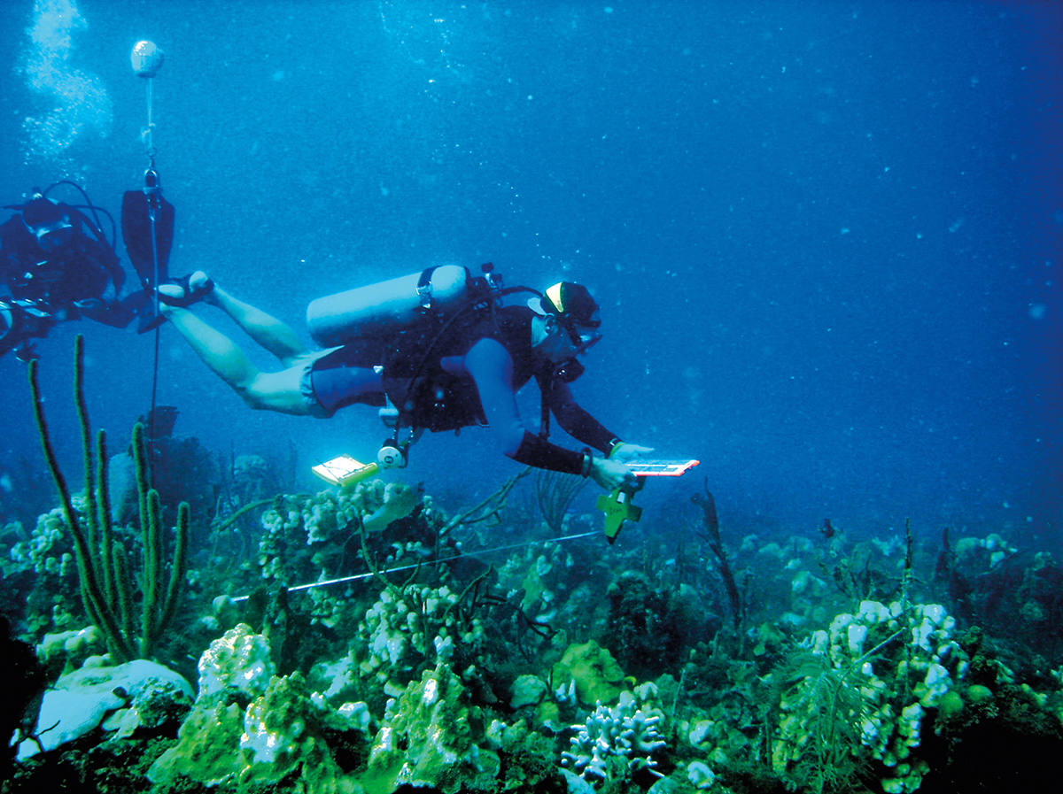 Dr. Erin Muller and Jeff Miller (National Park Service) conduct episodic monitoring of coral reefs at the Tektite site during the 2005–2007 bleaching and disease outbreak. Photo: C. Rogers.