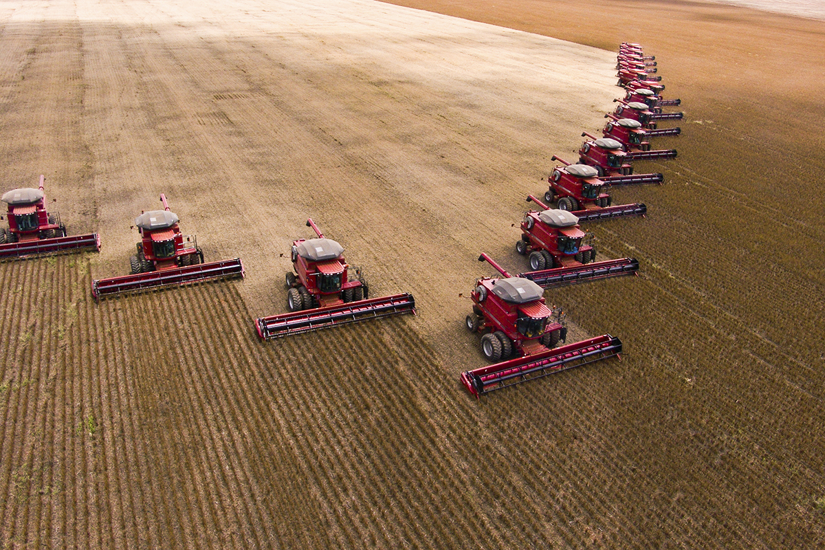 Mass soybean harvesting at a farm in Camp Verde, Mato Grosso, Brazil. Photo © AFNR/Shutterstock.com