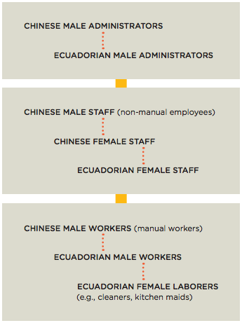 Figure 1. Job Hierarchy Distribution. Yellow lines denote formal hierarchy while red lines denote informal hierarchy.