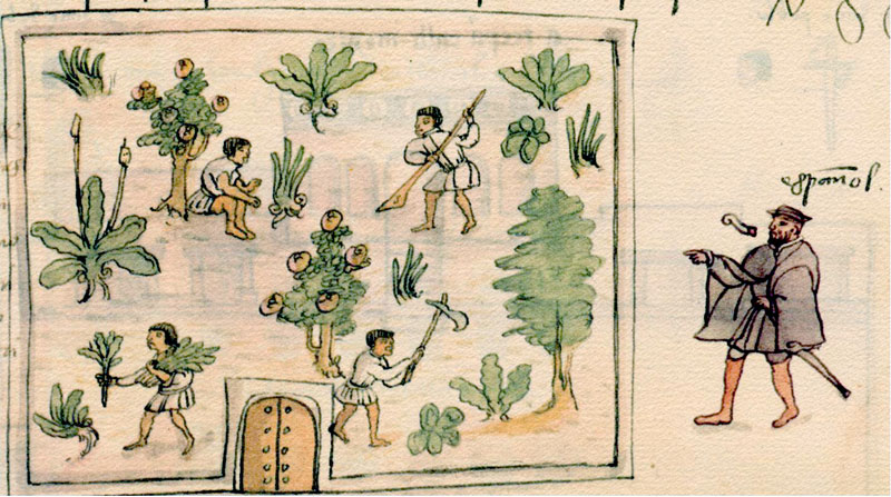 Silks and Swords: Sumptuary Laws and Gender in Colonial Mexico