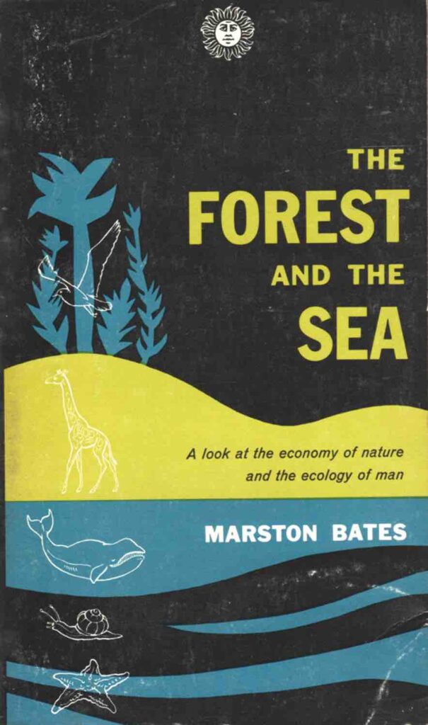 A book cover with a black background. The title, The Forest and the Sea, is written in bright yellow with a solid blue image in the shape of leafy plants next to it. Underneath, a solid yellow curvy block i the shape of a hillside. There is a white outline of a giraffe on the lefthand side. Under that, alternating blue and black swirls look like the sea, and in it there are the white outlines of a whale, a snail, and a starfish. At the top of the book cover, in the center, there is a white sun with a face on it.