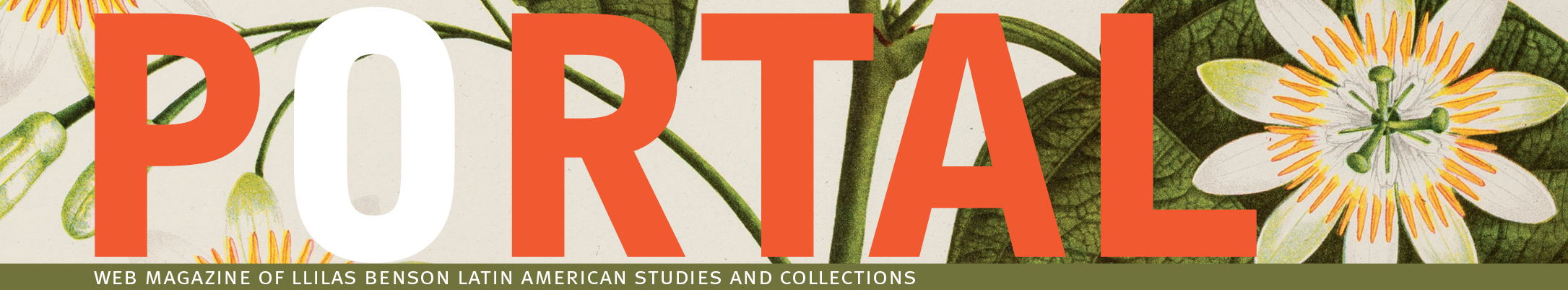 Portal web magazine title banner